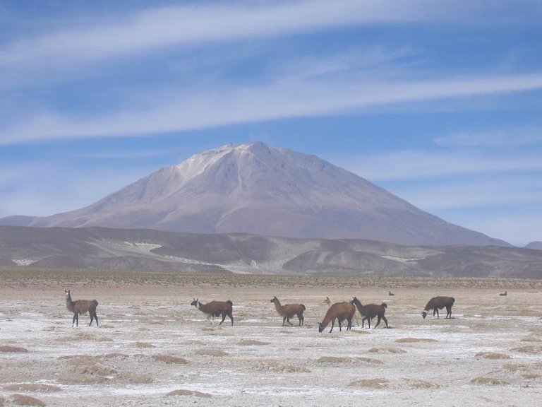 Salar_Uyuni_au02.jpg