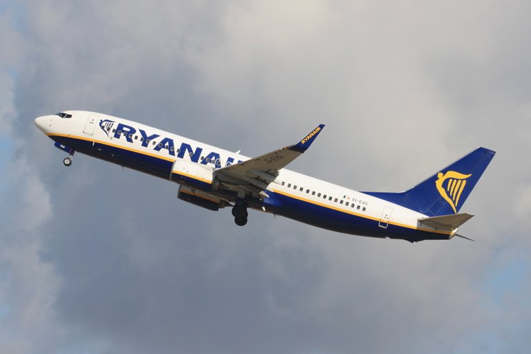 EI-EVG Ryanair -B738 WL.JPG