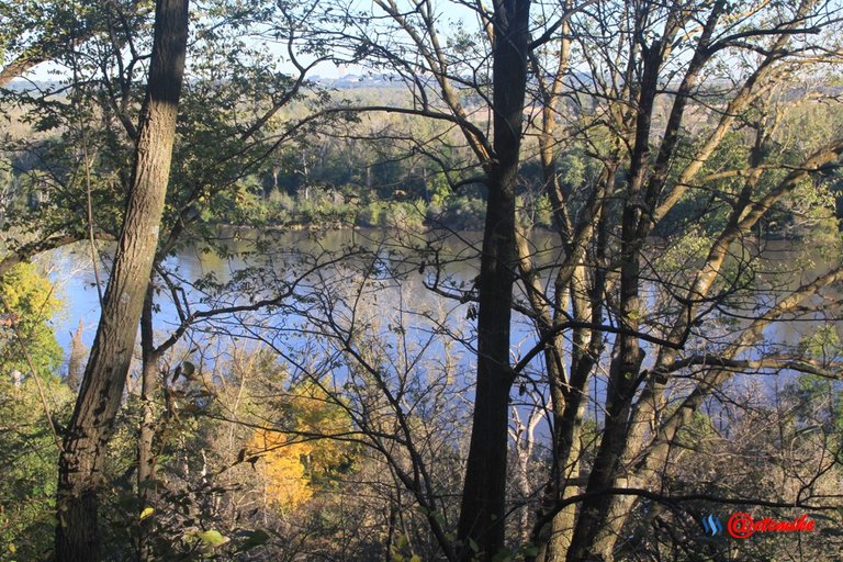 fall colors trees fontenelle forest landscape missouri river Fall0042.JPG