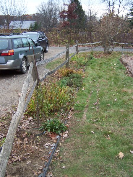 Fence gardens - partially cleaned up1 crop November 2019.jpg