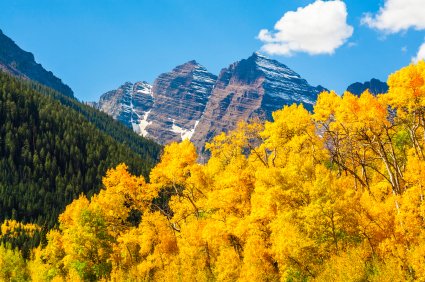 Maroon-Bells aspens.jpg