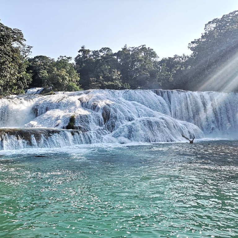 Agua Azul 1.jpg