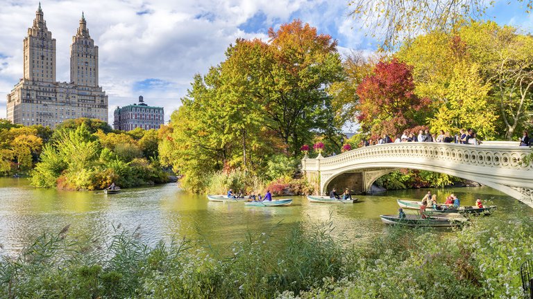 Central Park, NY.jpg