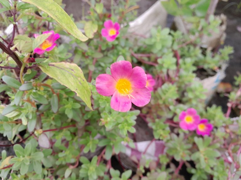 20230912_110333.jpg