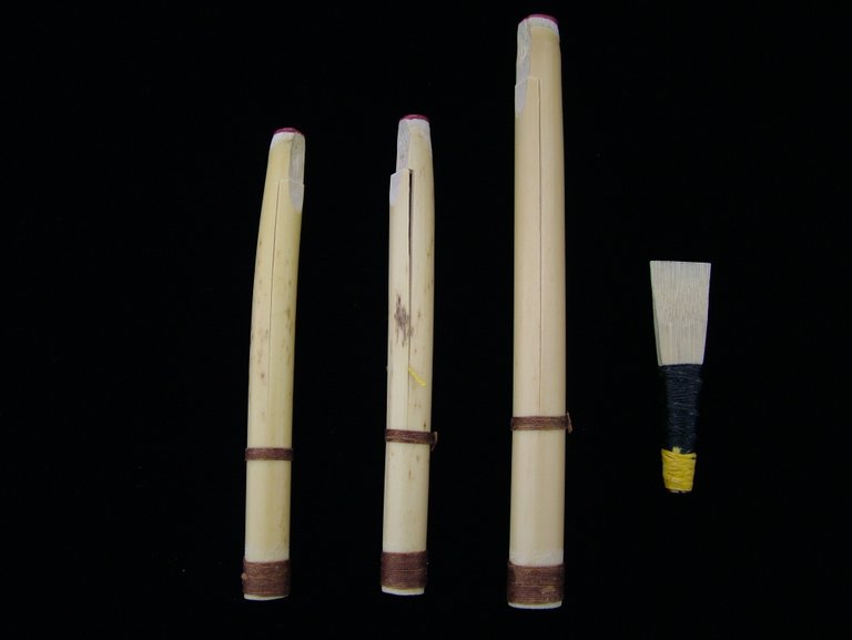 Pipes reeds.JPG