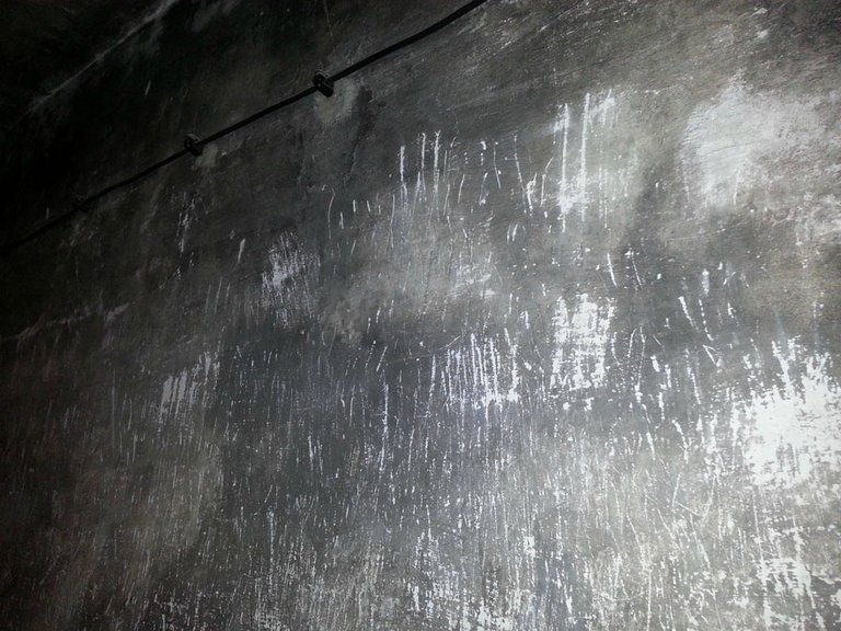 2. Inside an Auschwitz gas chamber.jpg