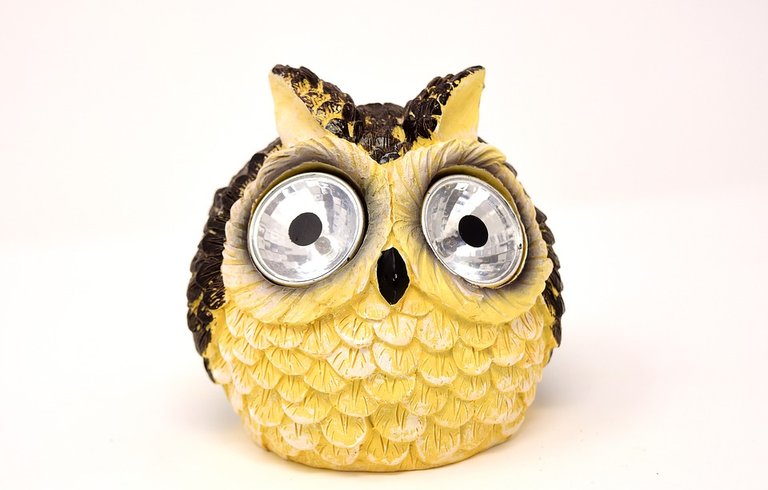 pineapple Owl.jpg