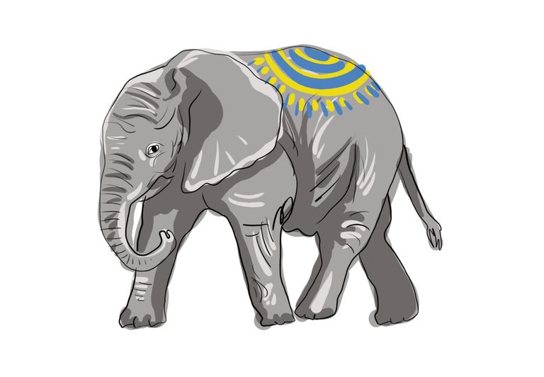 elephant (459).jpg