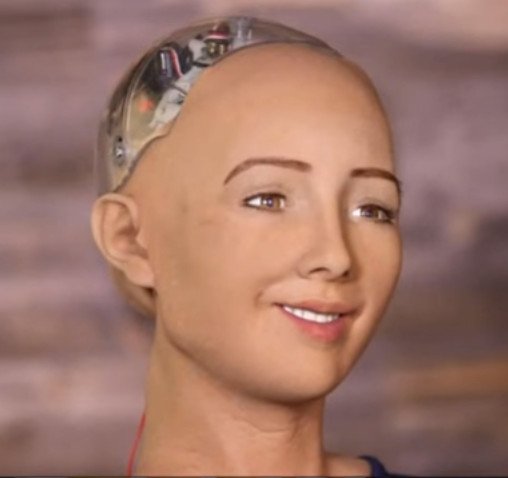 sophia-robot-destroy-humans.jpg