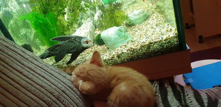 20180914_181511_009.jpg