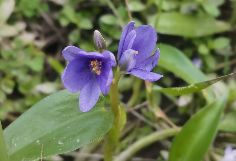 20201003_192031.jpg
