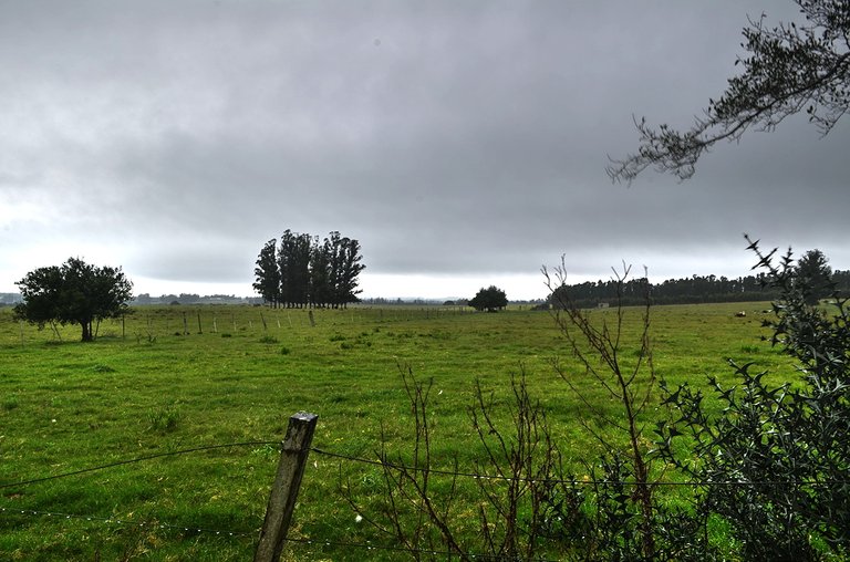 HDR-San-Carlos-Maldonado-Tierra.jpg