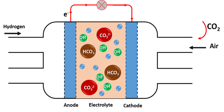 pila comb 2.png