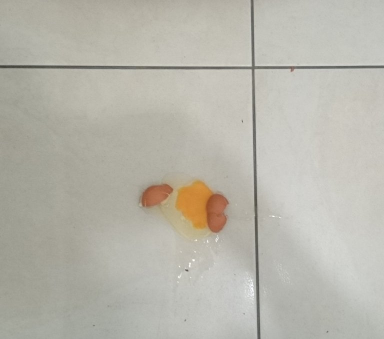 egg on floor.jpg