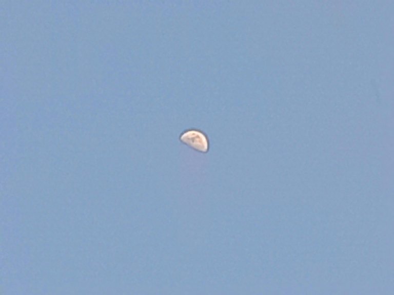 20230129_170854.jpg