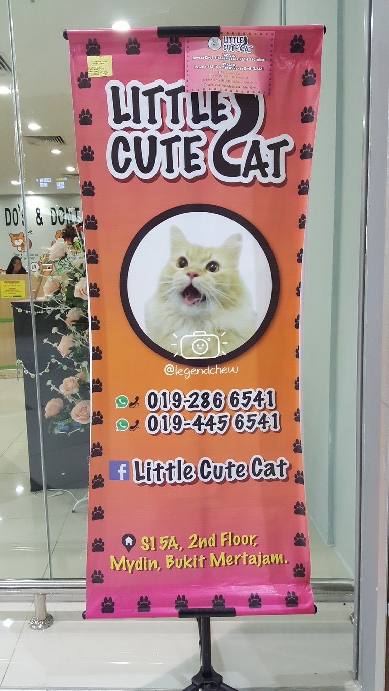 legendchew_little_cute_cat_shop (2).jpg