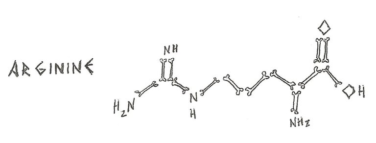 arginine.jpg