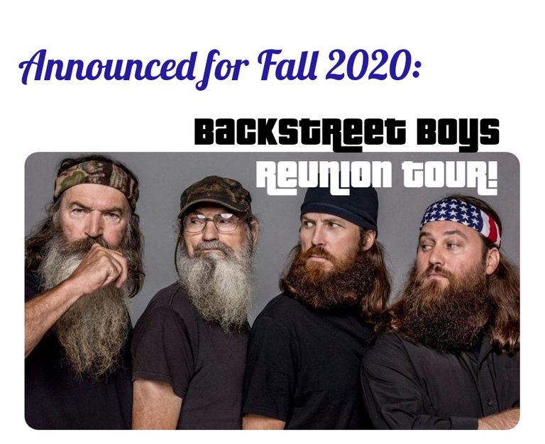 duckdynasty_backstreets_back.jpg