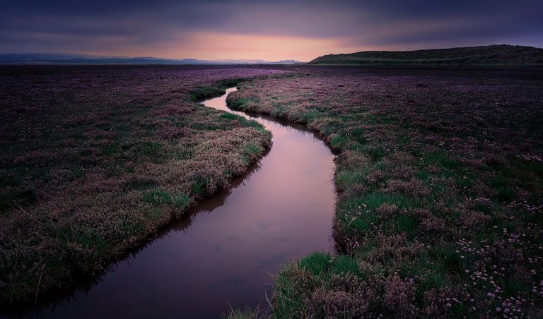 The tidal rivers of the Lindisfarne's lagoon.jpg