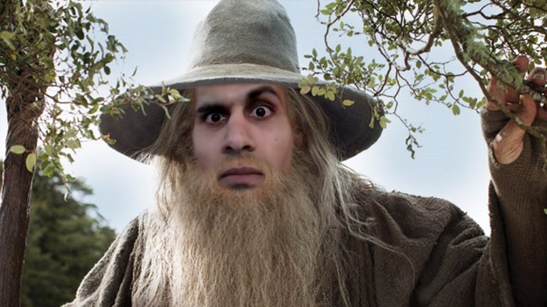 gandalf the brown FLAT.jpg