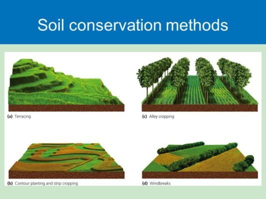 Soil+conservation+methods.jpg.cf.jpg