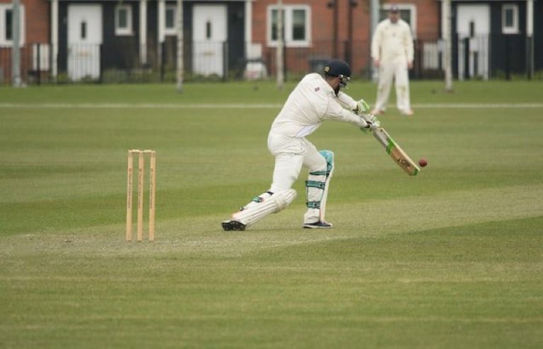 cricket3.jpg