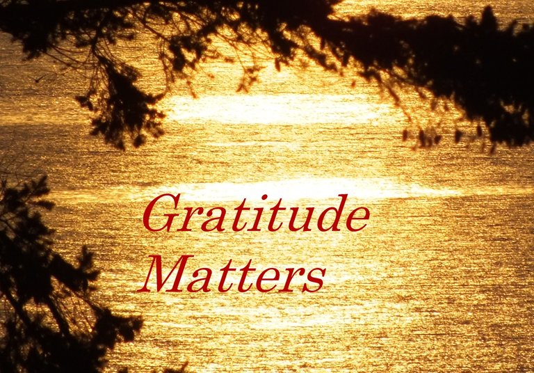 WLE0034-Gratitude.jpg