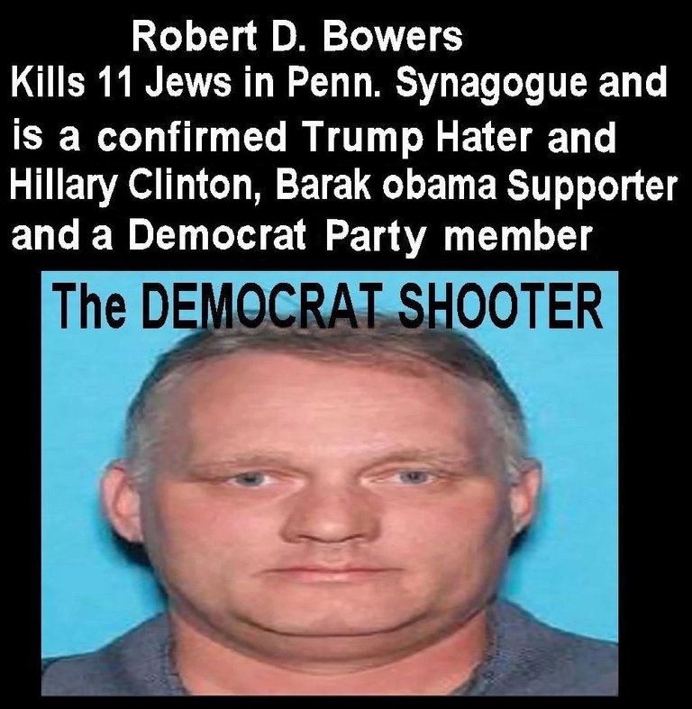 Democrat Shooter 2.jpg