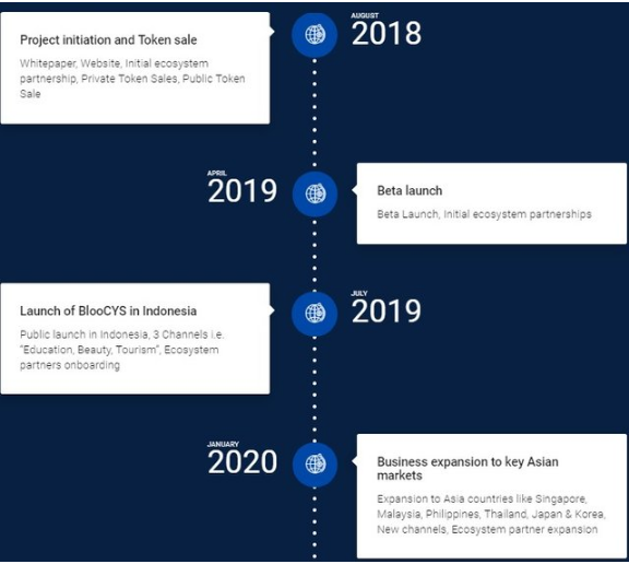 BlooCYS Roadmap.PNG