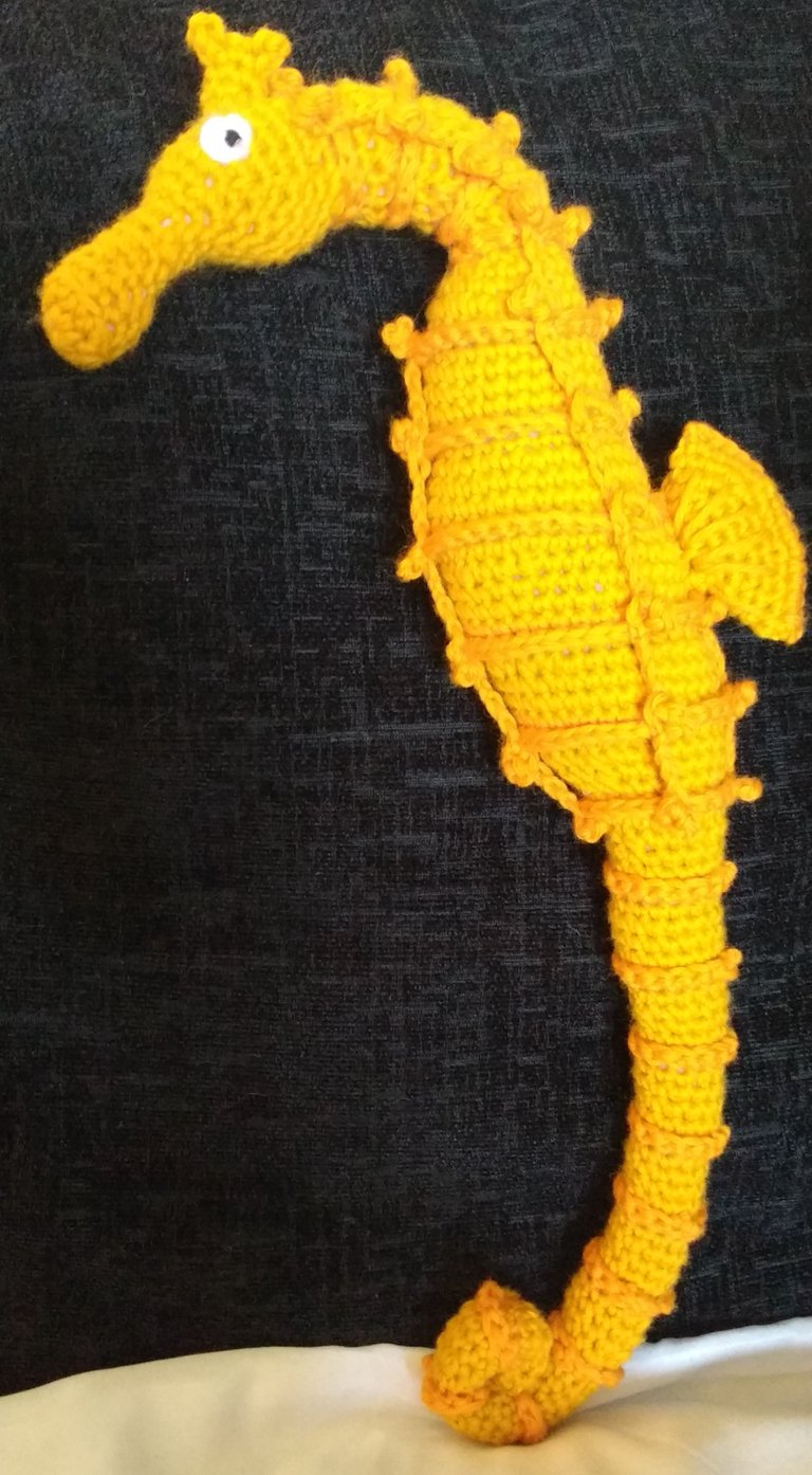 Yellow & Orange Seahorse (Cropped).jpg