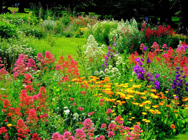 flower-garden.jpg