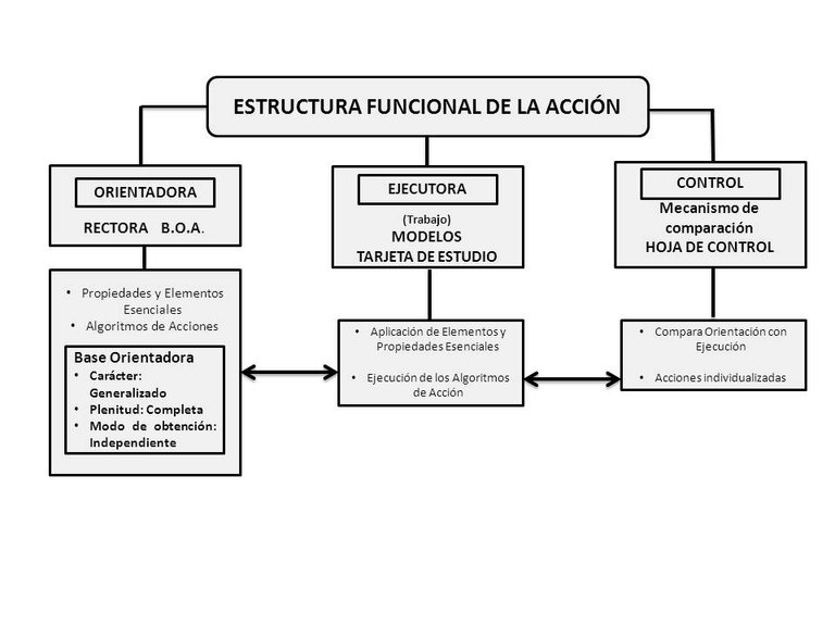 estructura de la accion.jpg