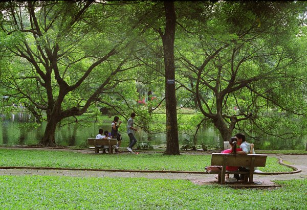 Bach THao park hanoi.jpg