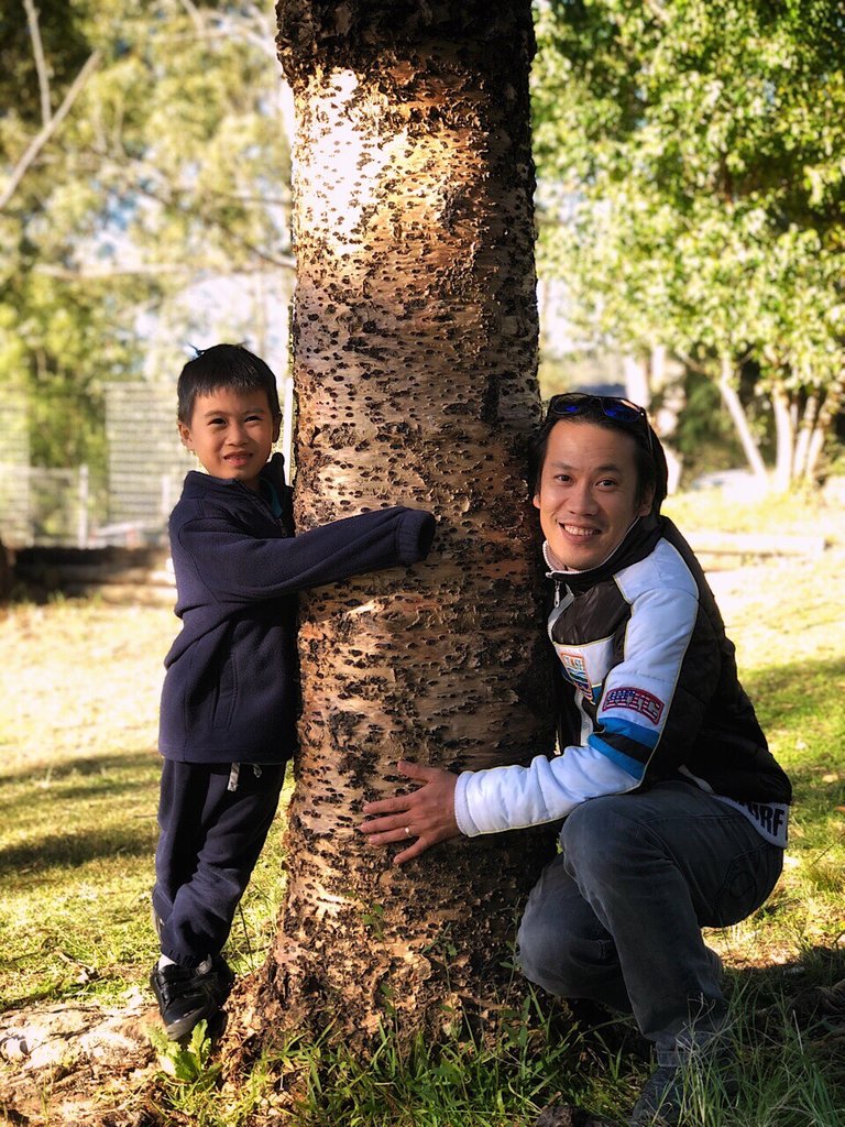 Daddy and son hugging a tree