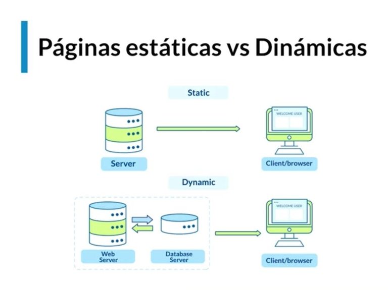 estaticas_vs_dinamicas.jpeg