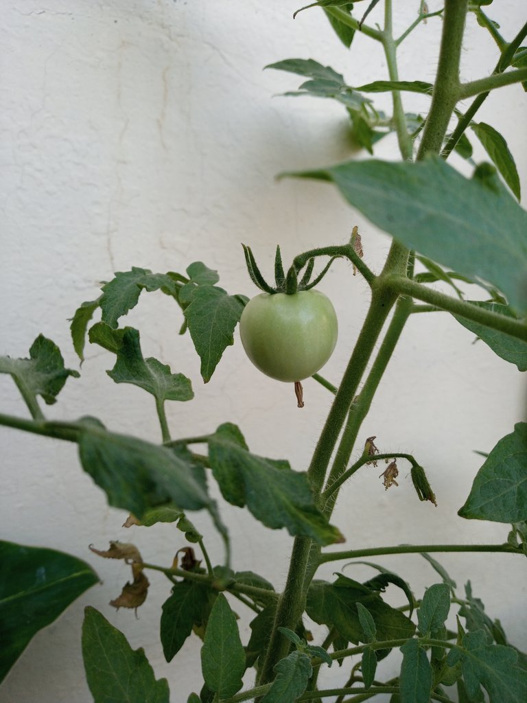 20220408_071341.jpg