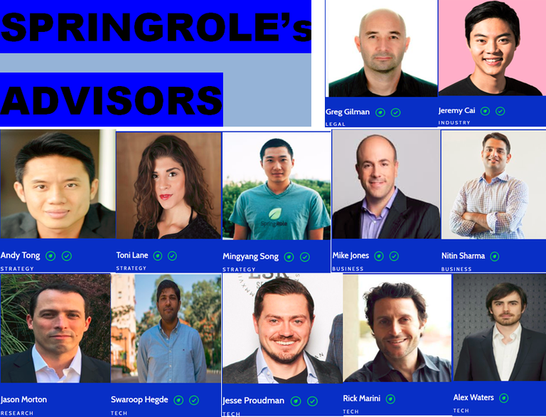 SPRINGROLE'S ADVISORS.png