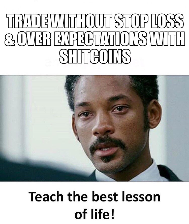 Without Stop Loss.JPG