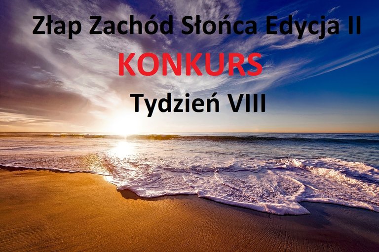 Tydzien VIII.jpg