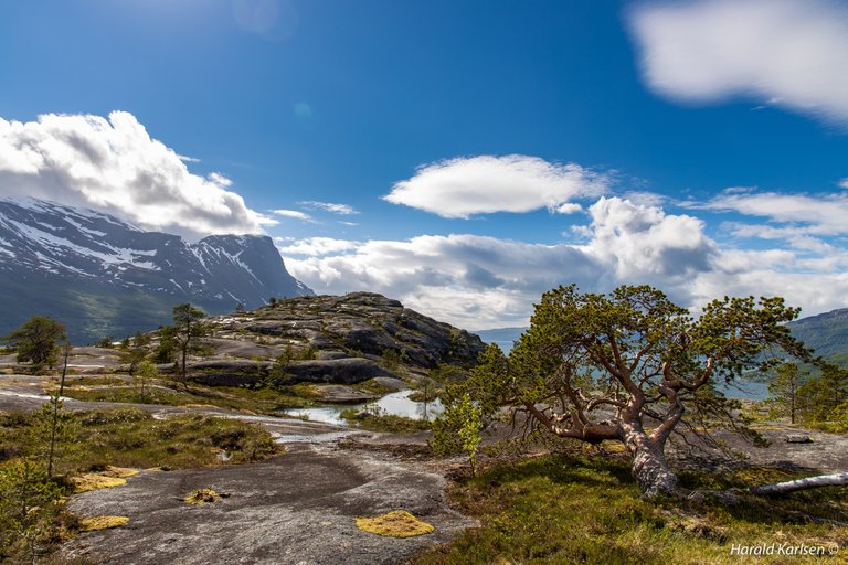 Olbogfjellet-7.jpg