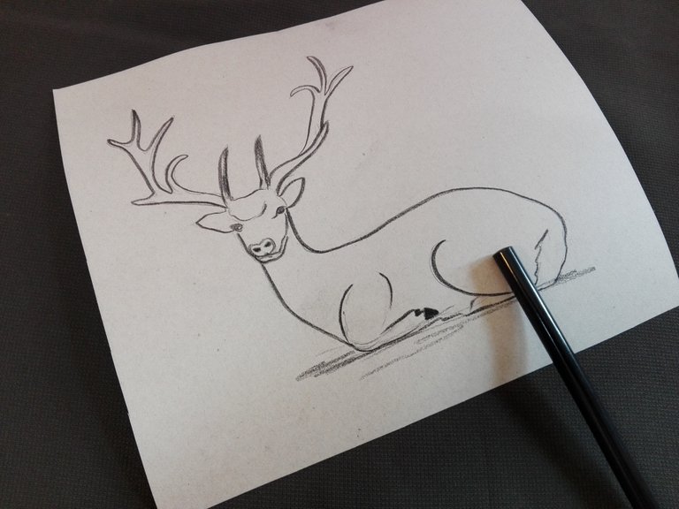 deerdrawing(3).jpg