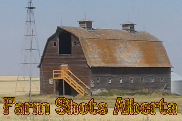 Farm shots alberta.png