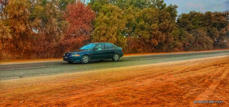 IMG_20200128_110745-01.jpeg