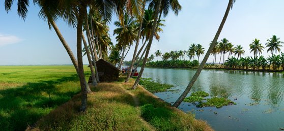 kerala-holiday-packages1.jpg