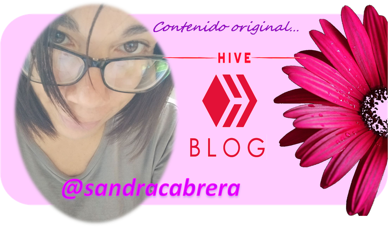 sandrahiveblog.png