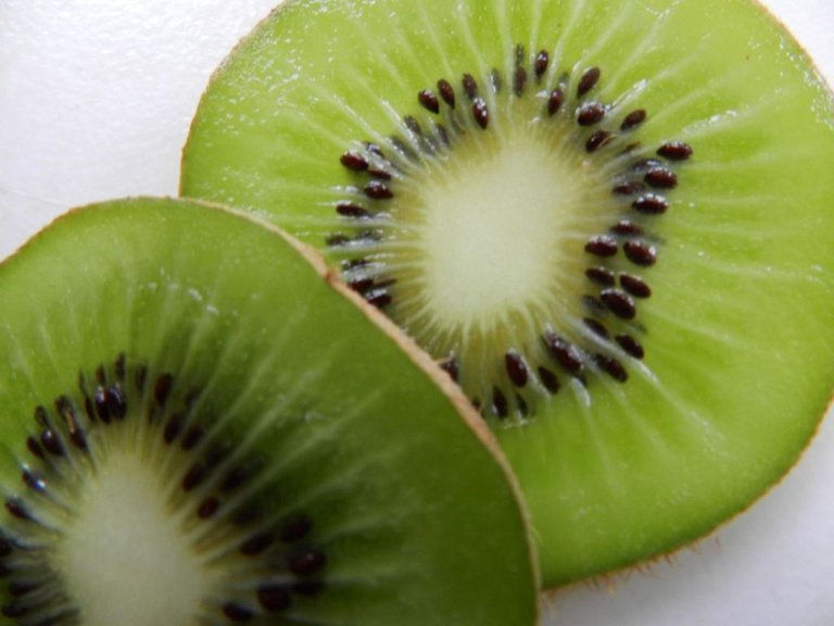 kiwifruit-new-zealand.jpg