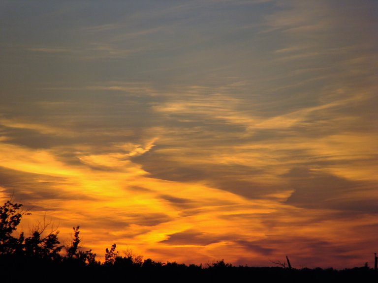 DSC07284.JPG