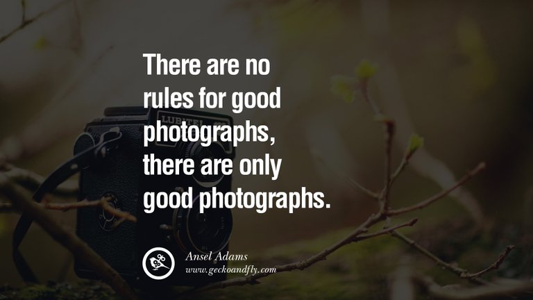 photography-quotes19.jpg