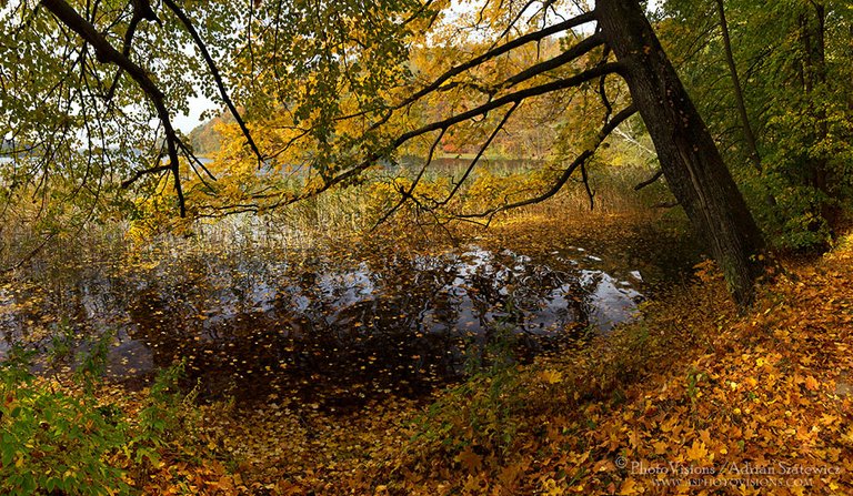 PA048-Panoramic_shore_of_lake_Czos.jpg