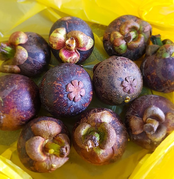 Mangosteens01.jpg